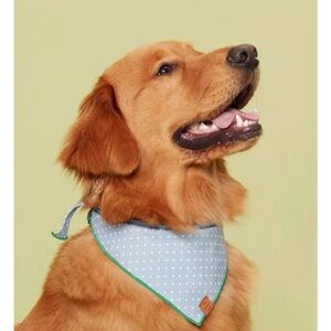 The Foggy Dog Blue Polka Dot  Bandana Size Large